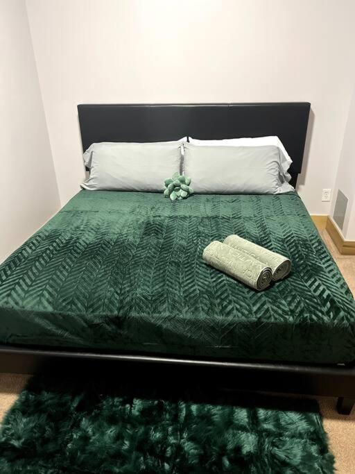 Serene Living Downtown Stl Loft เซนต์ลูอิส ภายนอก รูปภาพ